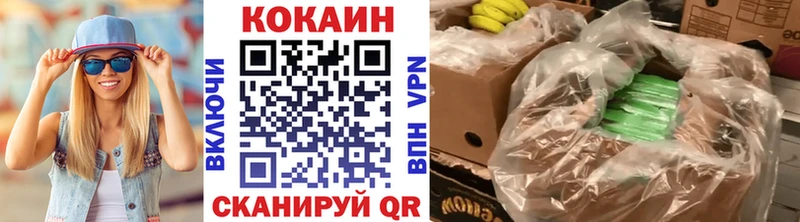 даркнет наркотические препараты  ссылка на мегу маркетплейс  Ардатов  Cocaine Эквадор 