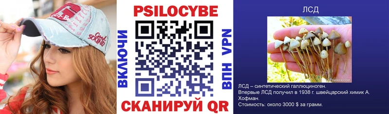 Псилоцибиновые грибы MAGIC MUSHROOMS  Ардатов 